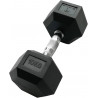 Haltères de 10kg